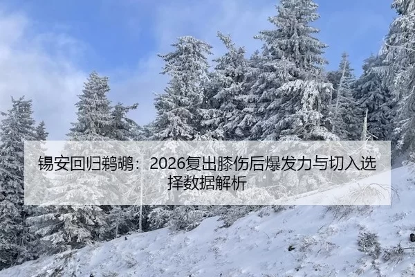 xi-an-hui-gui-ti-hu-fu-chu-xi-shang-hou-bao-fa-li-yu-qie-ru-xuan-ze-shu-ju-jie-xi-2-626.jpg