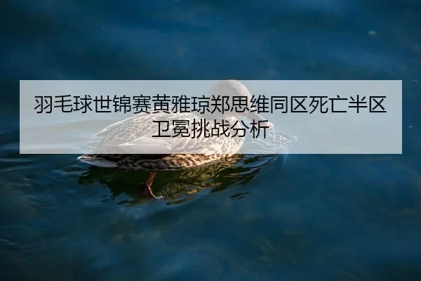 yu-mao-qiu-shi-jin-sai-huang-ya-qiong-zheng-si-wei-tong-qu-si-wang-ban-qu-wei-mian-tiao-zhan-fen-xi-2-423.jpg